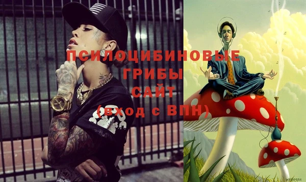 гидропоника Аркадак