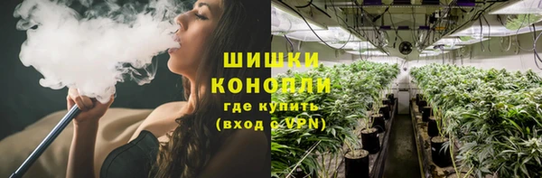 гидропоника Аркадак