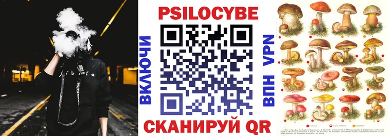 Купить где Приморск Галлюциногенные грибы Magic Shrooms