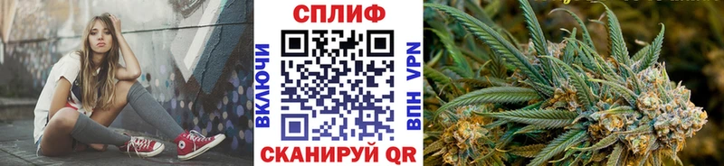Бошки Шишки THC 21% Приморск