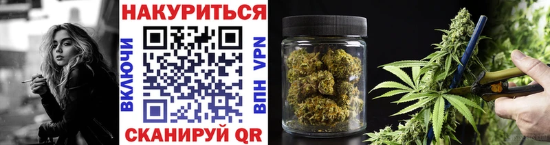 Купить где  Приморск  Конопля планчик 